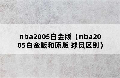 nba2005白金版（nba2005白金版和原版 球员区别）